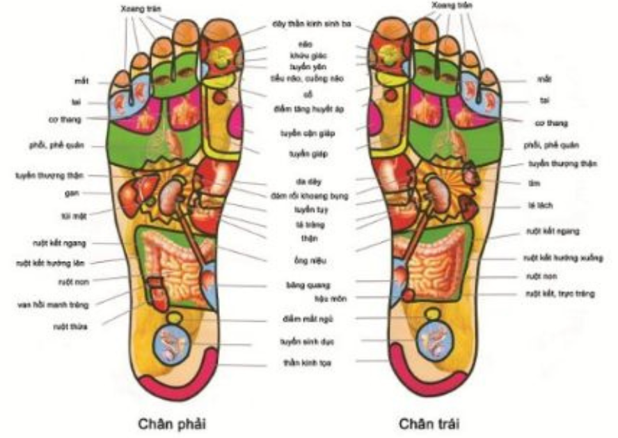 Biện pháp phòng tránh đột quỵ và công dụng tuyệt vời của dầu cù là trắng massage bàn chân chuẩn Thái