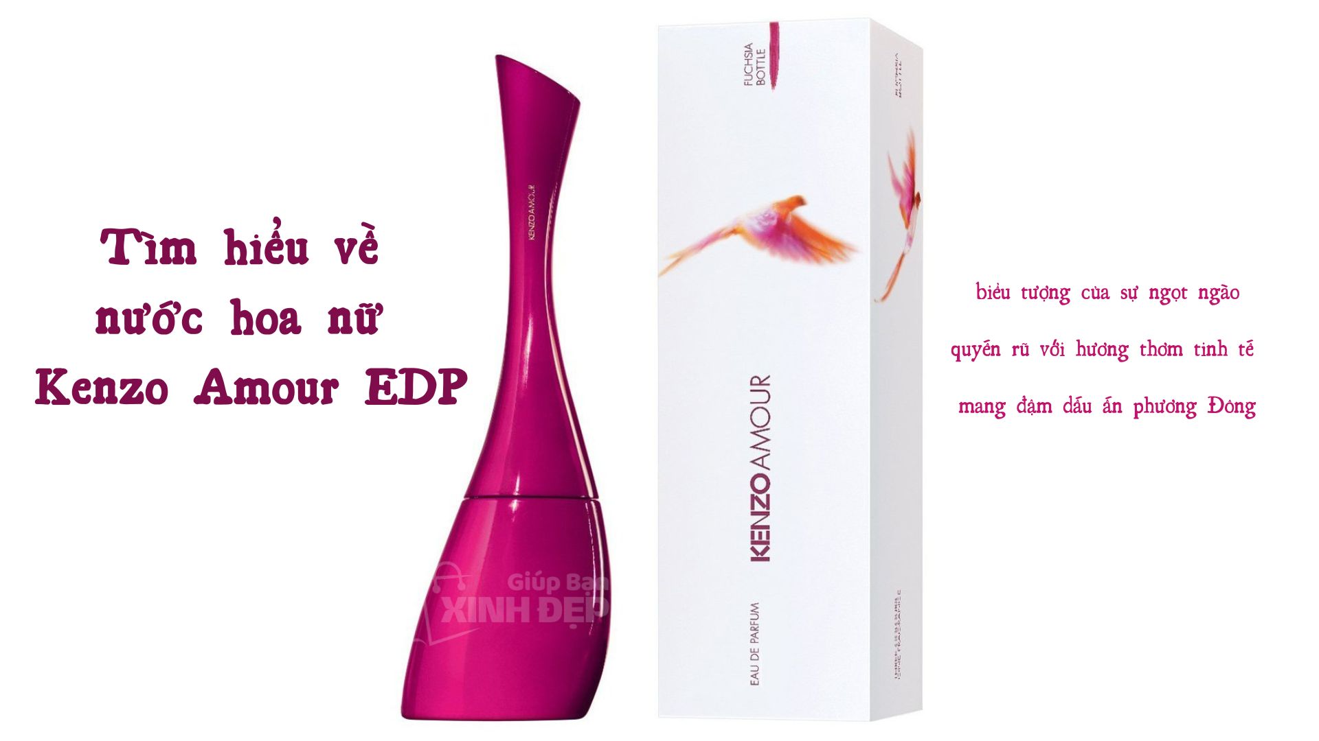 Tìm hiểu về nước hoa nữ Kenzo Amour EDP