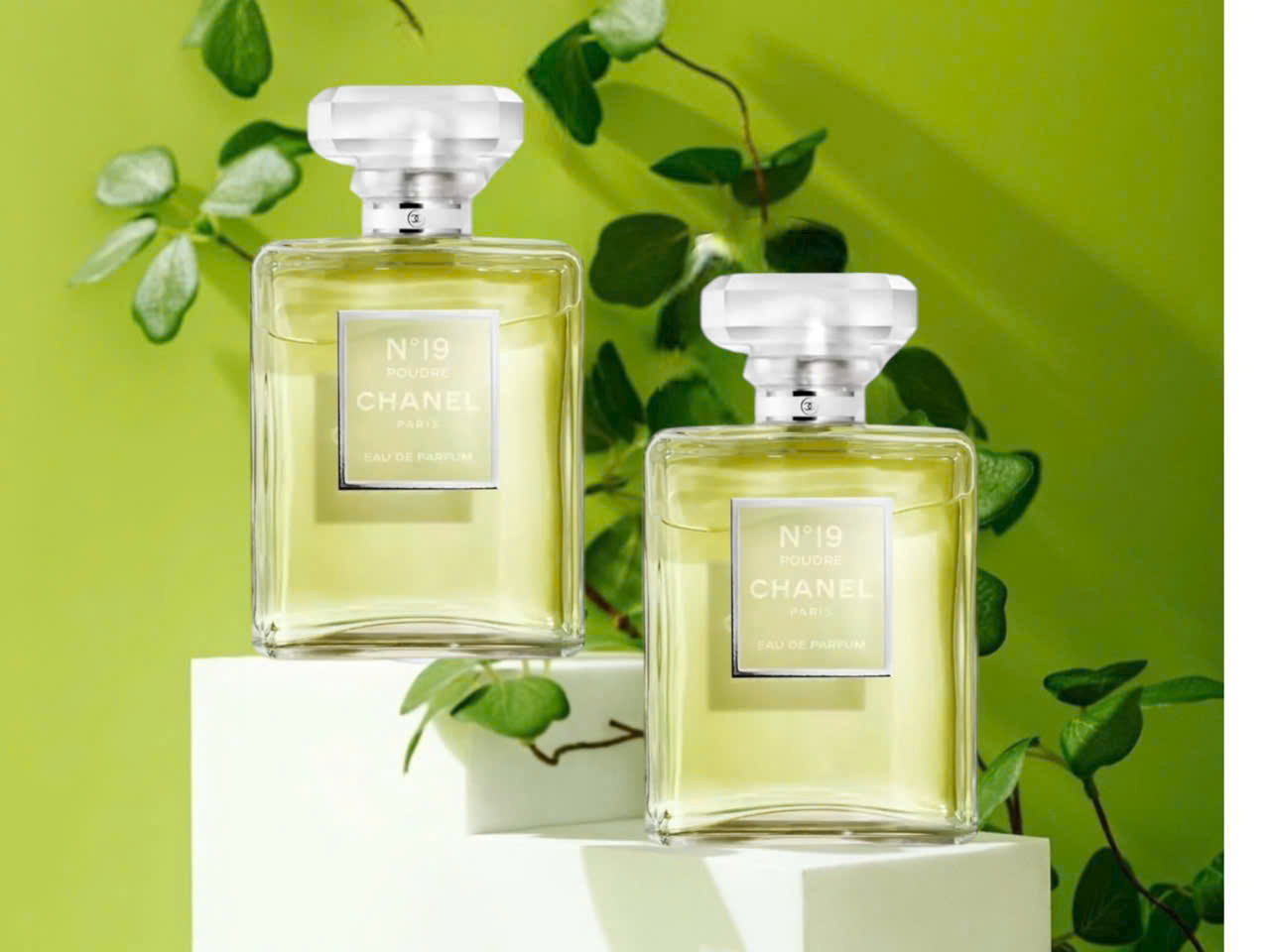Nước hoa nữ Chanel N19 Poudre 100ml-1