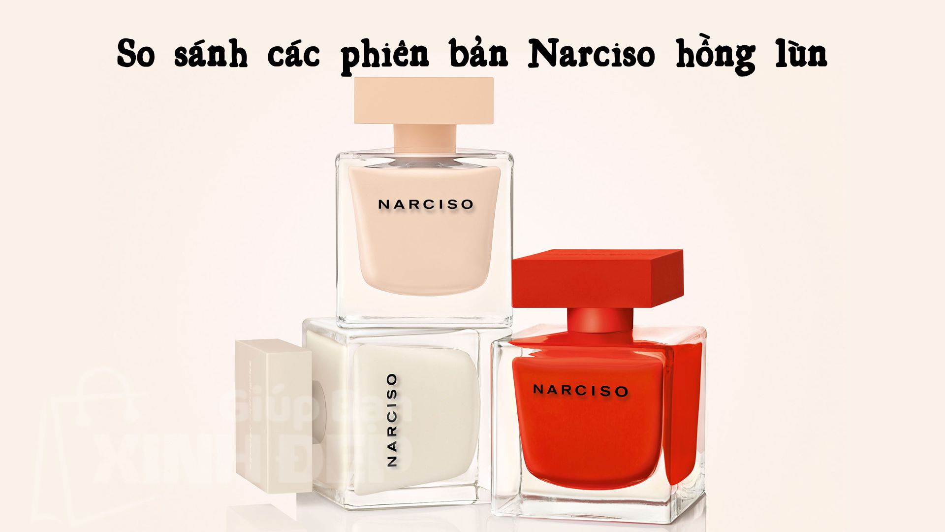 So sánh các phiên bản Narciso hồng lùn